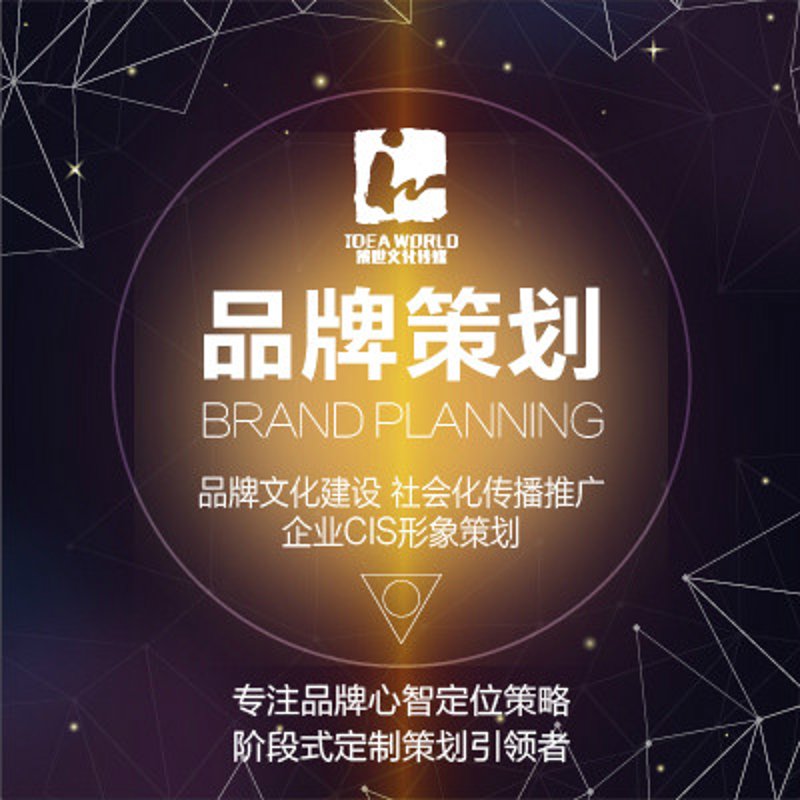 探索商业策划的新动态